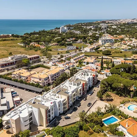 T2 Eucalipto 2a By Algarneto