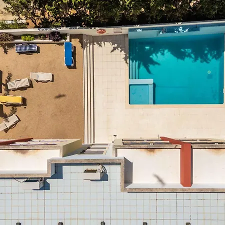 T2 Eucalipto 2a By Algarneto *