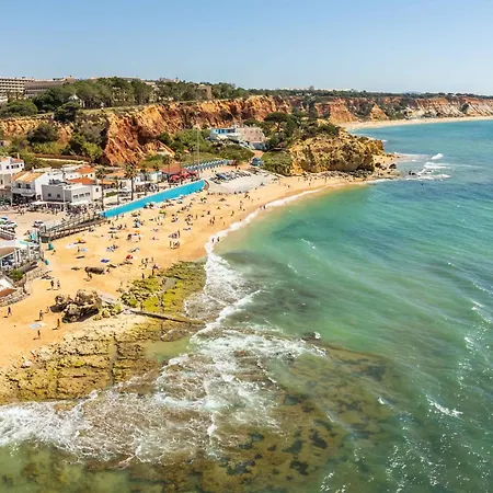 T2 Eucalipto 2a By Algarneto * Olhos de Agua (Albufeira)