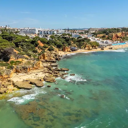 T2 Eucalipto 2a By Algarneto Olhos de Agua (Albufeira)