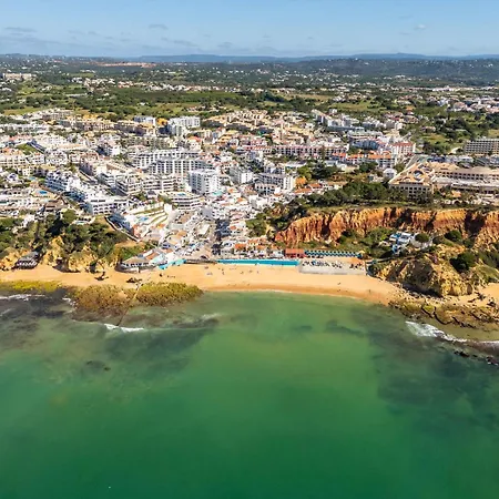 T2 Eucalipto 2a By Algarneto