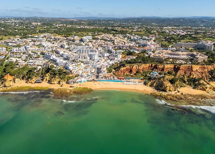 T2 Eucalipto 2a By Algarneto